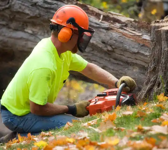 tree services Plantation